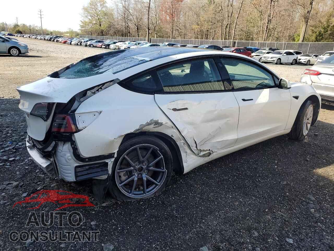 TESLA MODEL 3 2021 - 5YJ3E1EA2MF861032