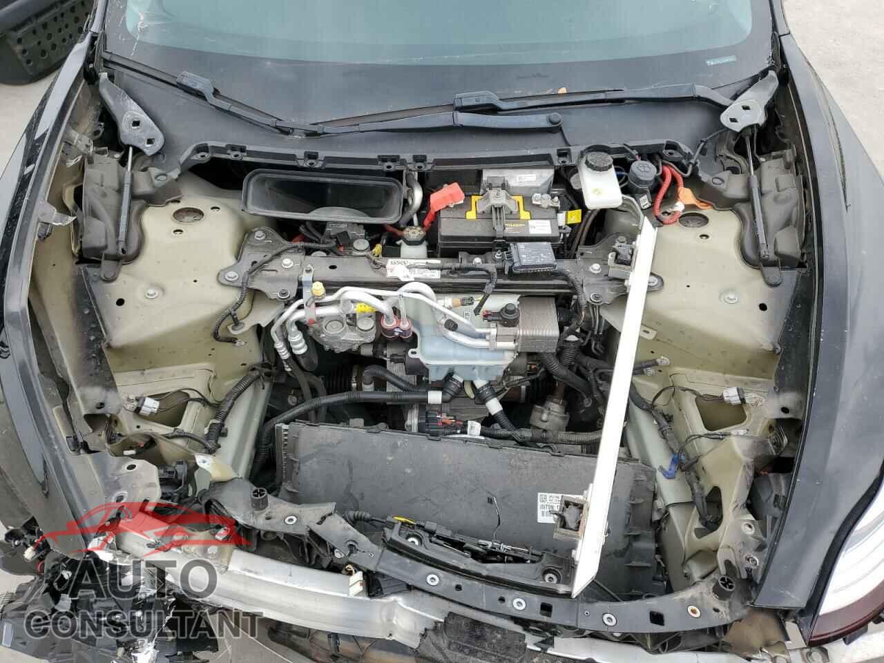 TESLA MODEL 3 2020 - 5YJ3E1EC5LF646745