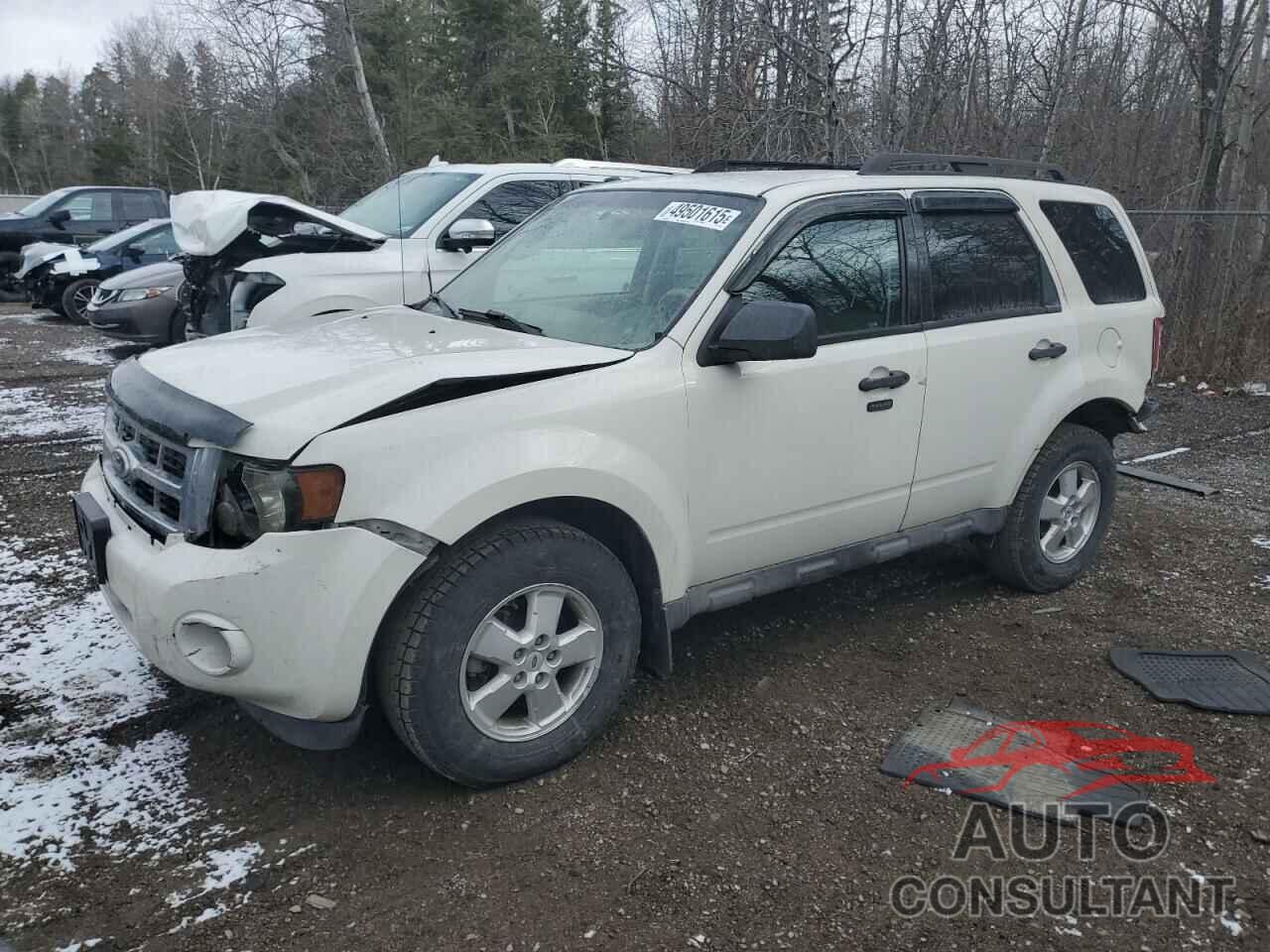 FORD ESCAPE 2010 - 1FMCU9DG2AKB71959