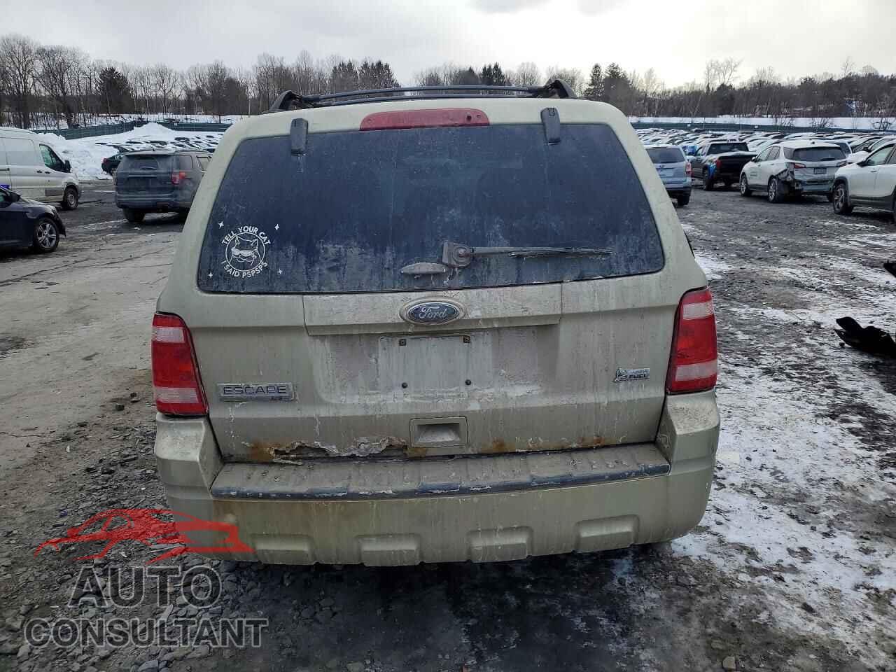 FORD ESCAPE 2011 - 1FMCU9DG3BKA78207