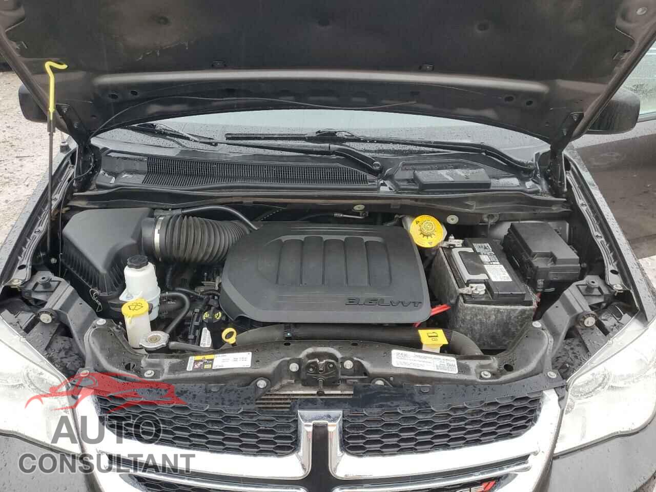 DODGE CARAVAN 2019 - 2C4RDGBGXKR579487