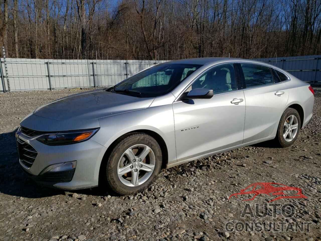 CHEVROLET MALIBU 2019 - 1G1ZC5ST7KF176863