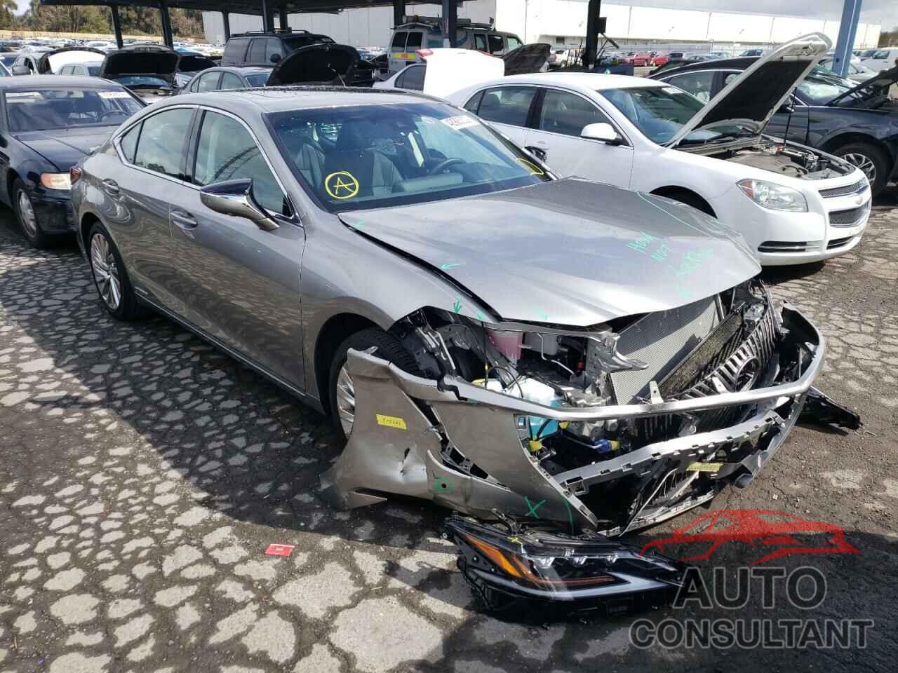 LEXUS ES300 2020 - 58AE21B14LU010849