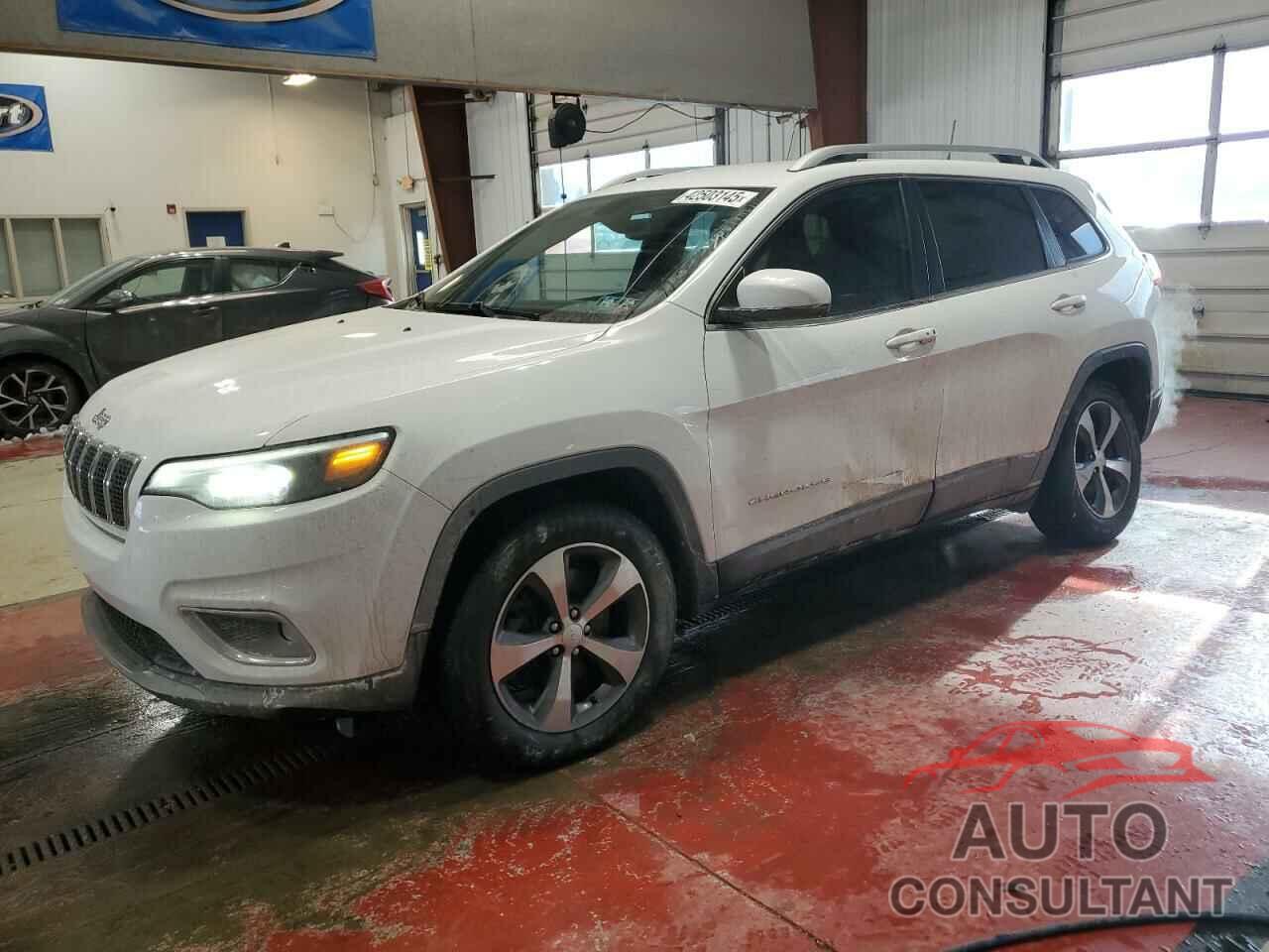 JEEP GRAND CHER 2019 - 1C4PJMDX1KD163617