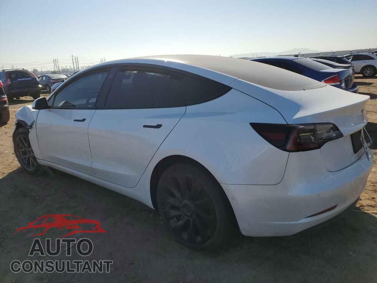 TESLA MODEL 3 2021 - 5YJ3E1EA1MF928865