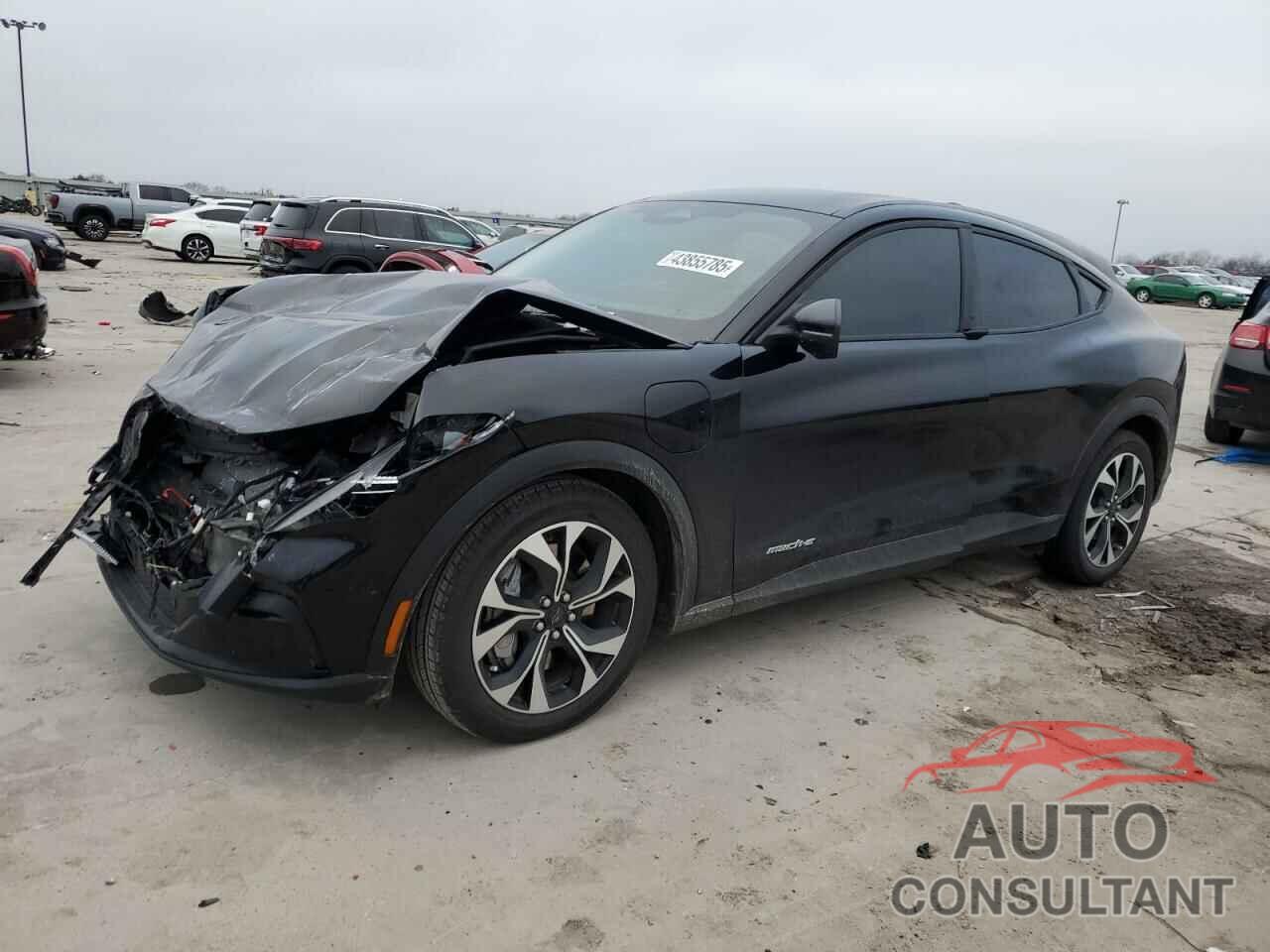 FORD MUSTANG 2024 - 3FMTK1R43RMA15648