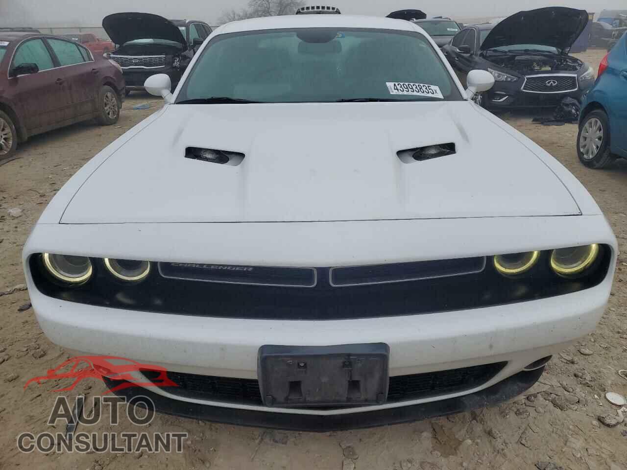 DODGE CHALLENGER 2015 - 2C3CDZBG6FH707385
