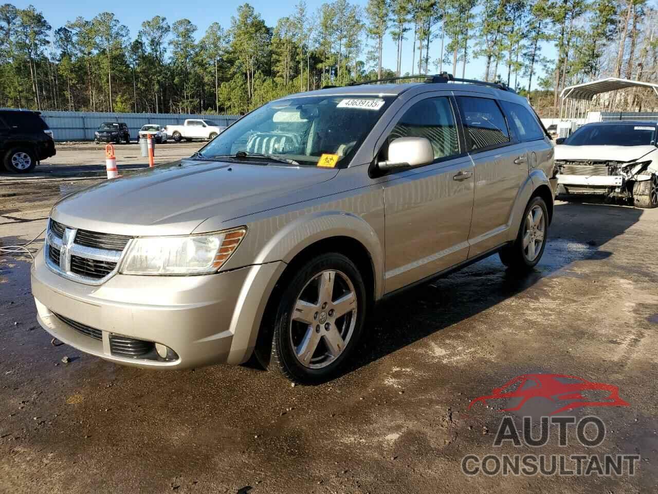 DODGE JOURNEY 2009 - 3D4GG57V89T159750