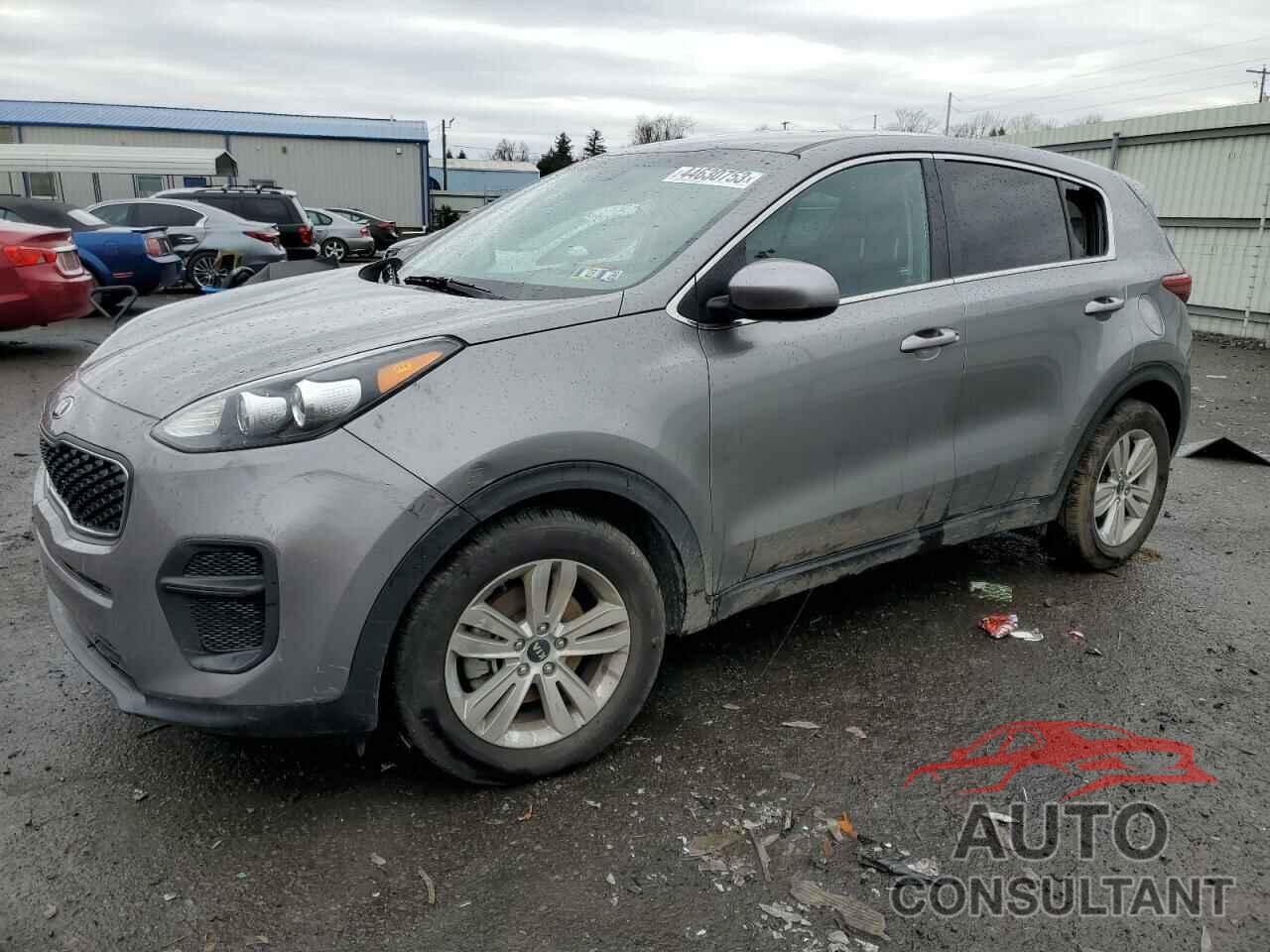 KIA SPORTAGE 2019 - KNDPM3AC6K7516175