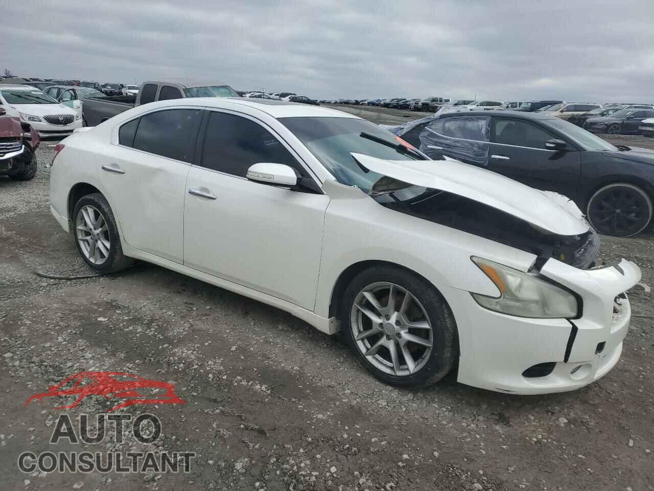 NISSAN MAXIMA 2011 - 1N4AA5AP0BC851619