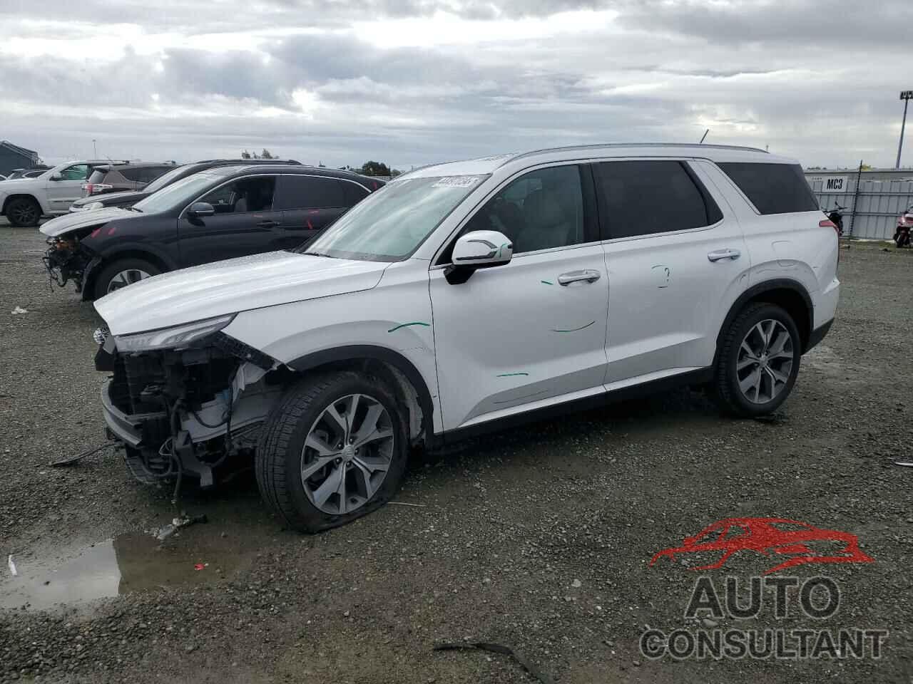 HYUNDAI PALISADE 2021 - KM8R34HE0MU234610