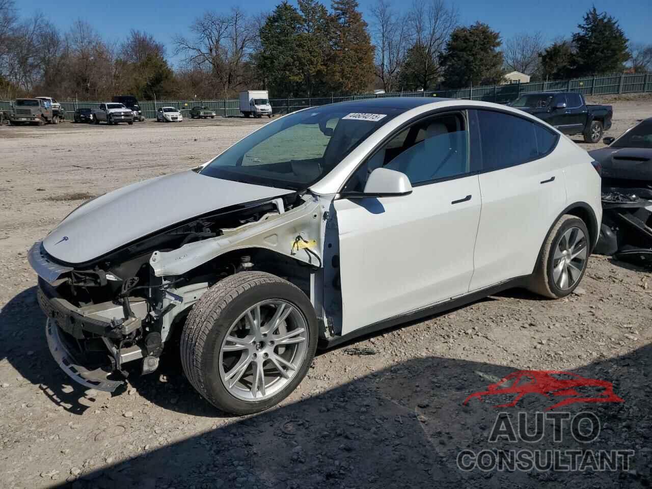 TESLA MODEL Y 2022 - 7SAYGDEE0NF339363