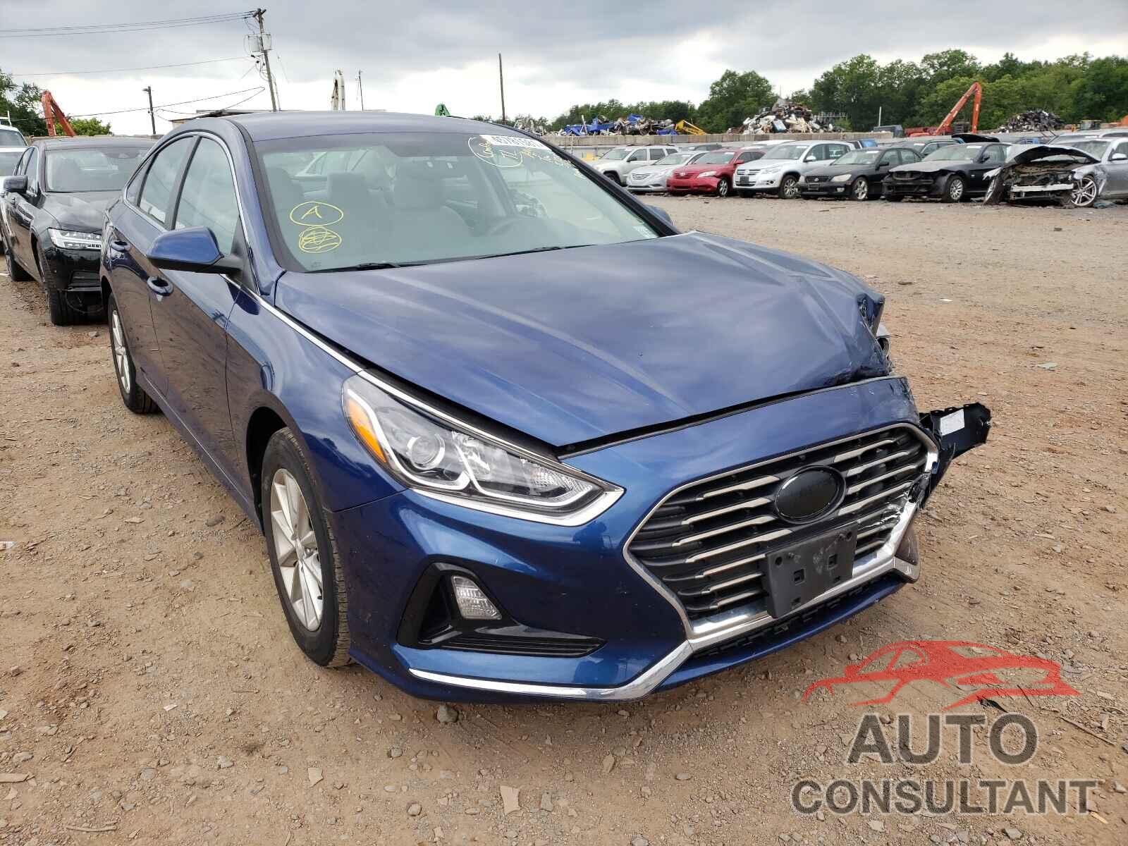 HYUNDAI SONATA 2019 - 5NPE24AF0KH741667