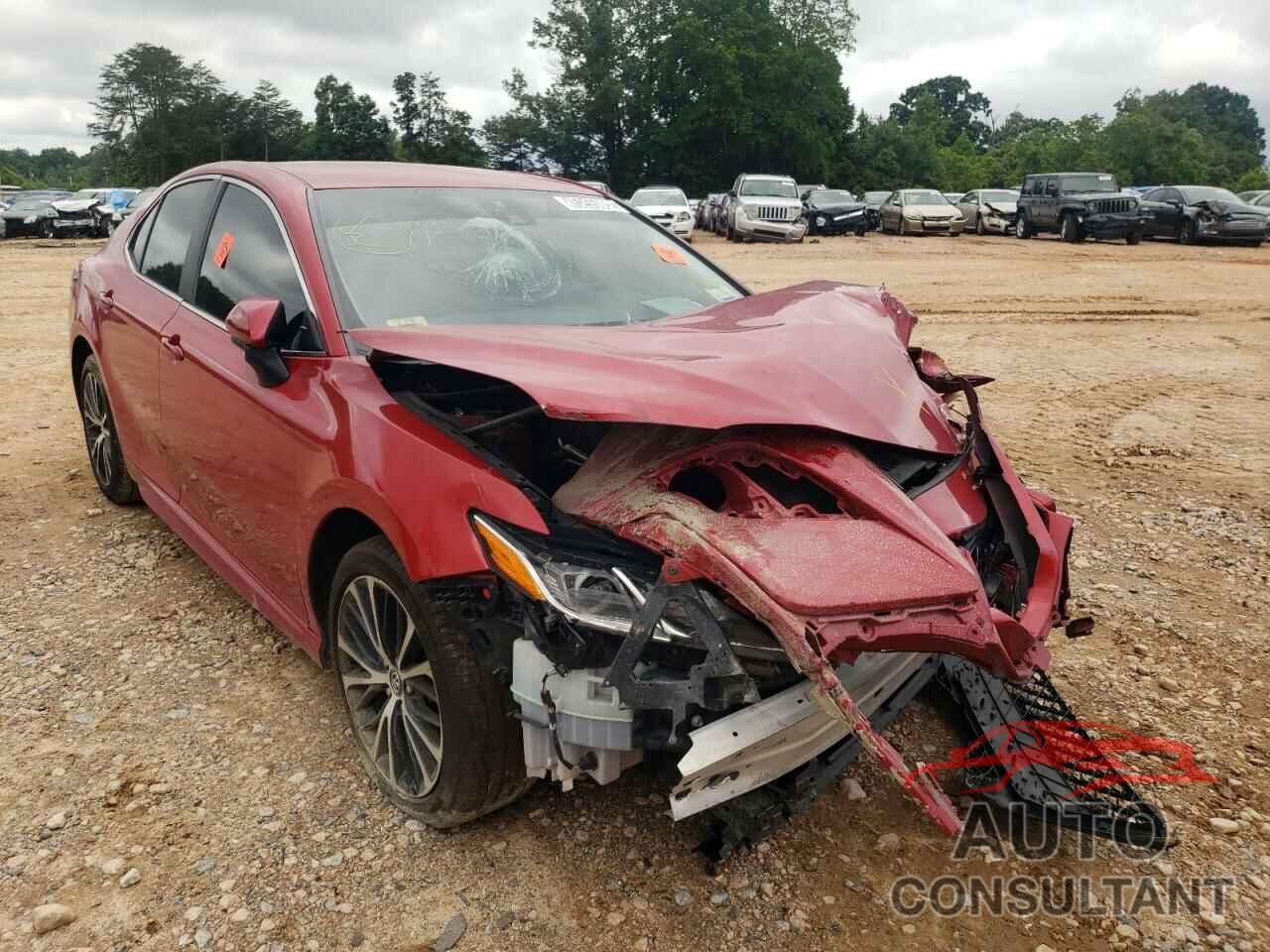 TOYOTA CAMRY 2019 - 4T1B11HK9KU291560