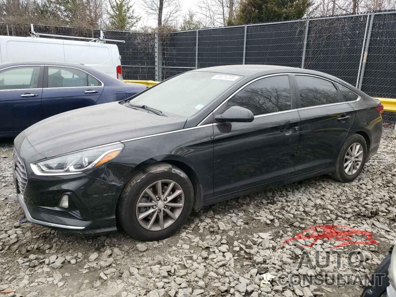 HYUNDAI SONATA 2019 - 5NPE24AFXKH800823