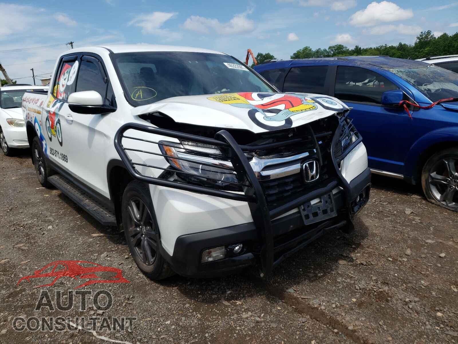 HONDA RIDGELINE 2019 - 5FPYK3F14KB042892