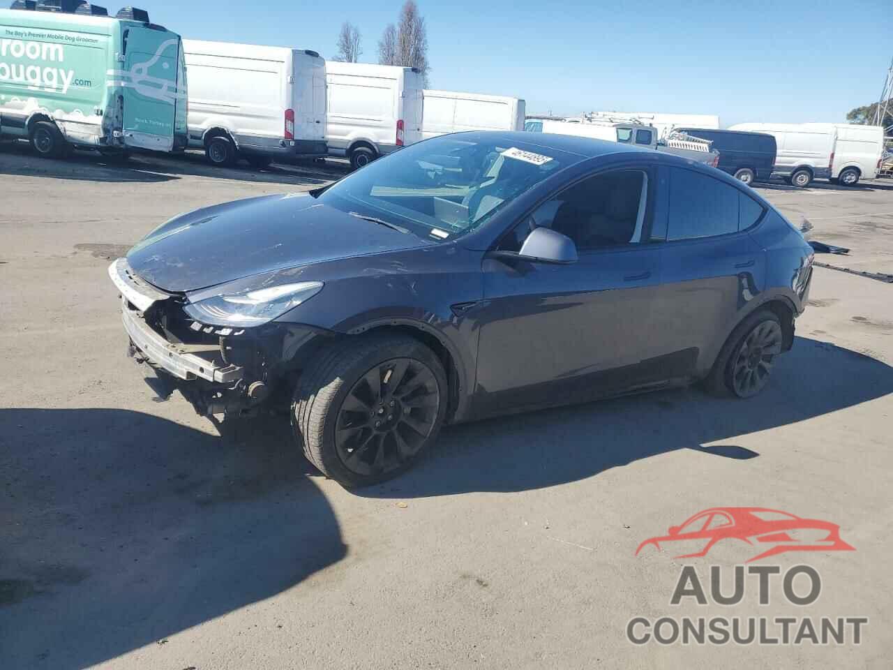 TESLA MODEL Y 2021 - 5YJYGAEE4MF160057