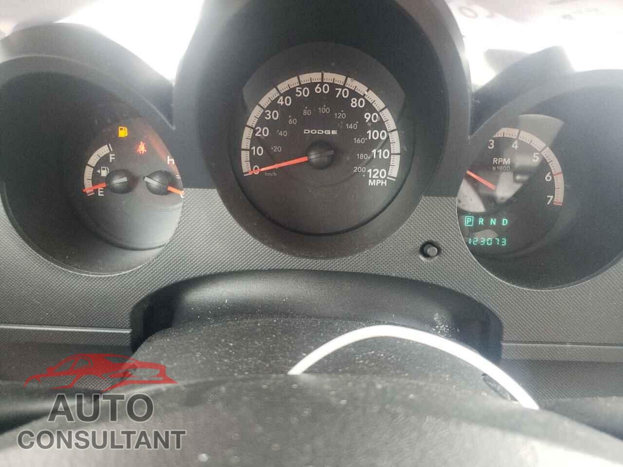 DODGE NITRO 2011 - 1D4PT4GK4BW605310