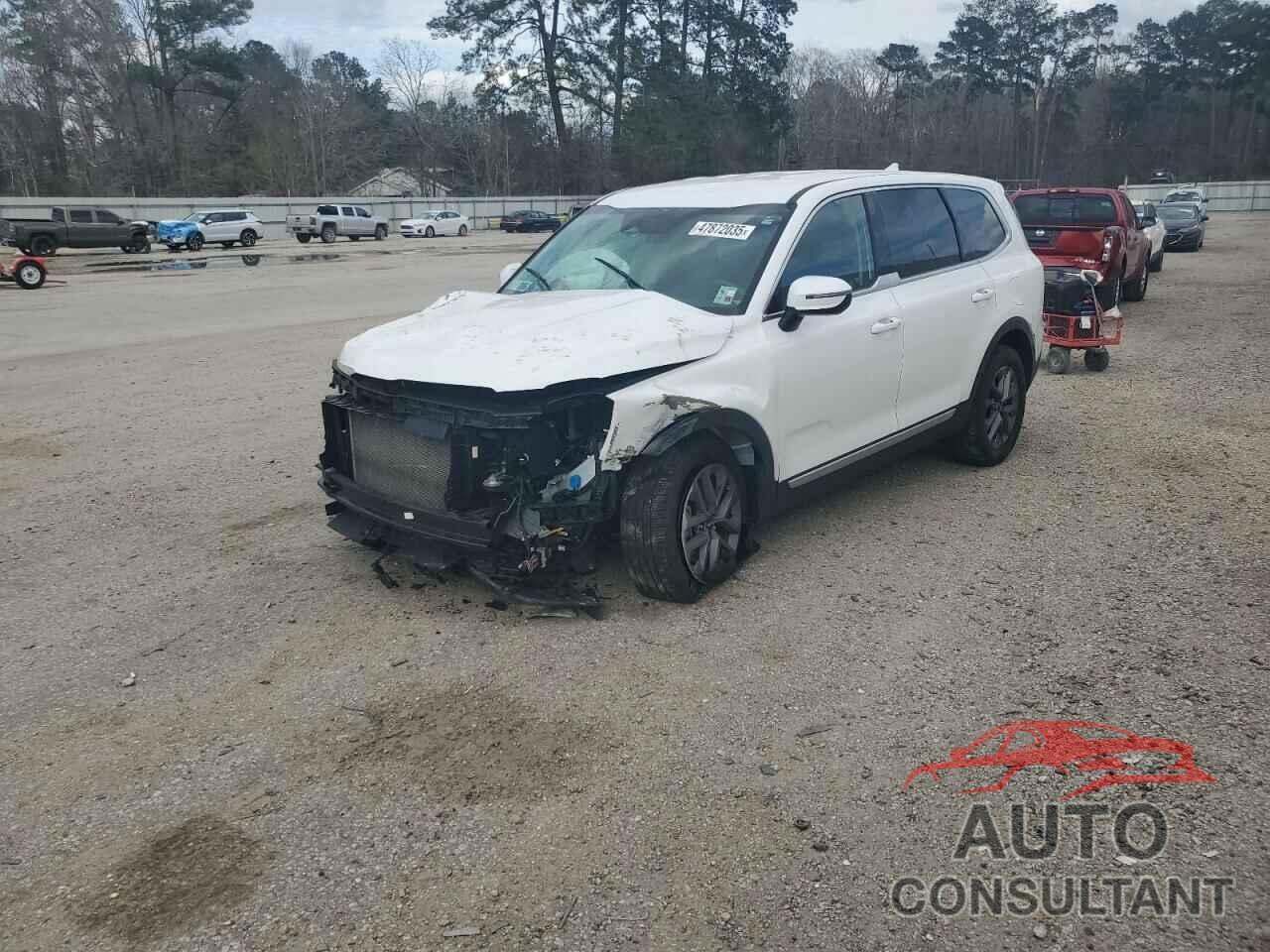 KIA TELLURIDE 2024 - 5XYP24GCXRG425507