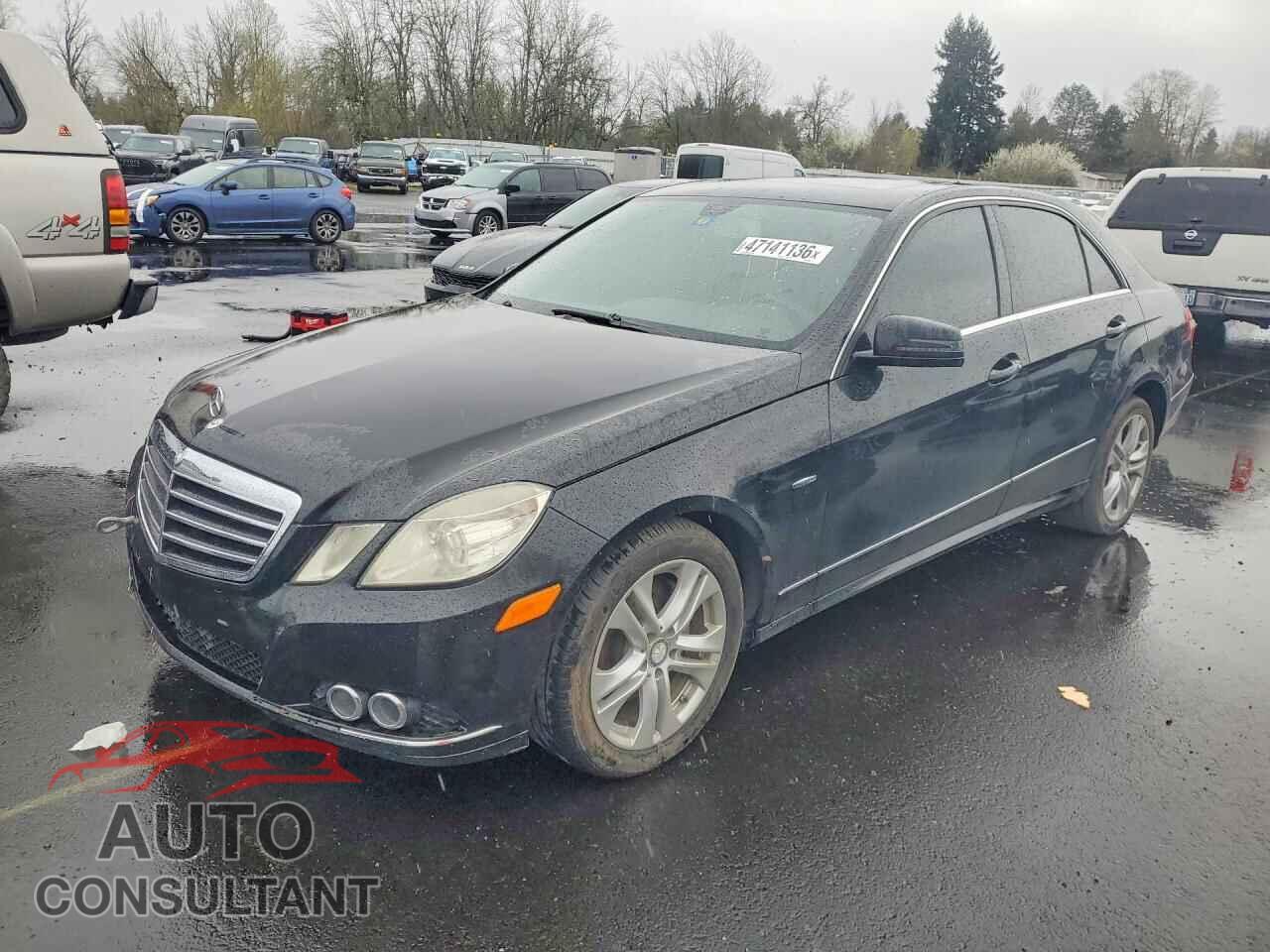 MERCEDES-BENZ E-CLASS 2011 - WDDHF2EBXBA330237