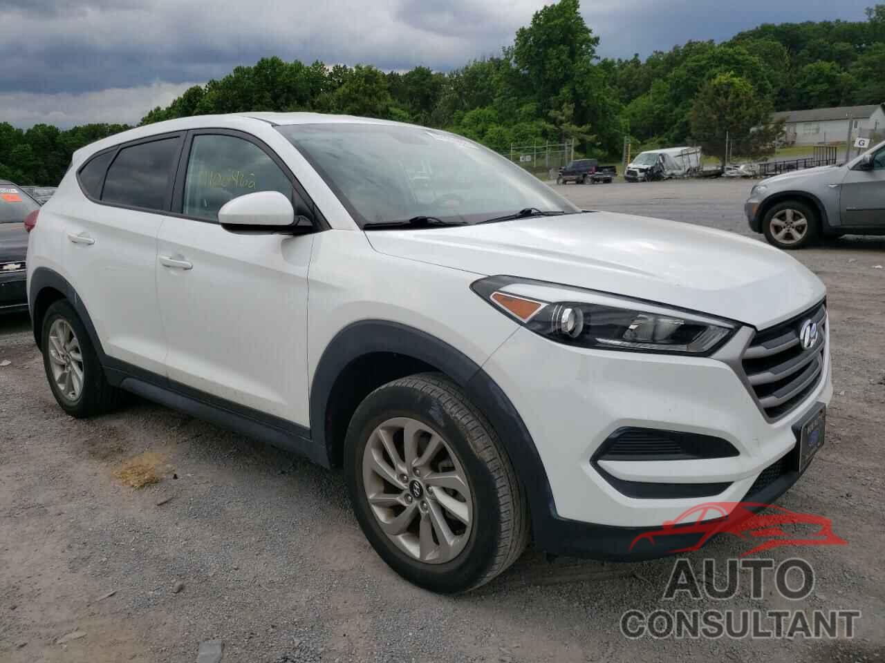 HYUNDAI TUCSON 2017 - KM8J23A46HU281979