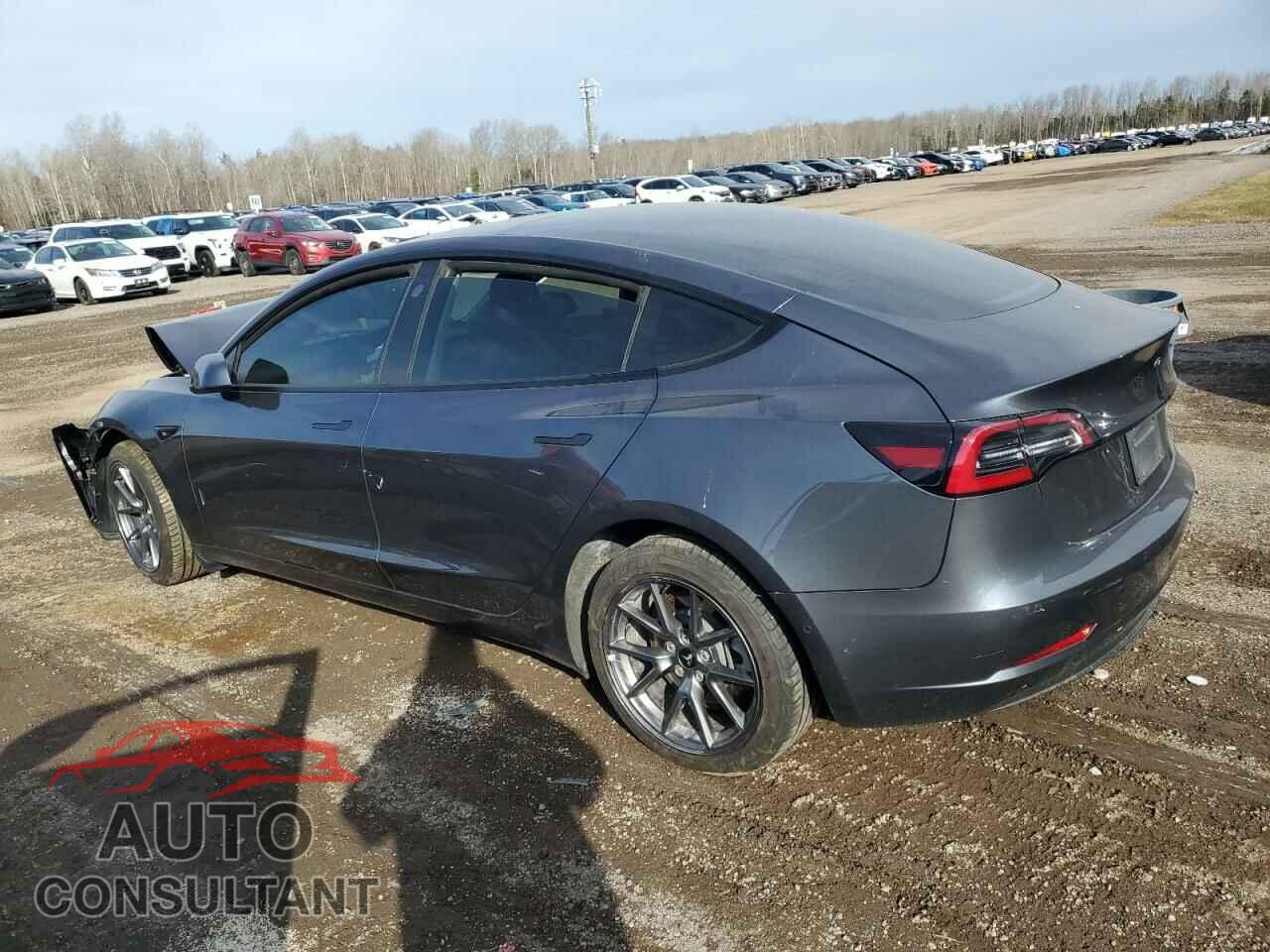 TESLA MODEL 3 2022 - 5YJ3E1EB8NF116800