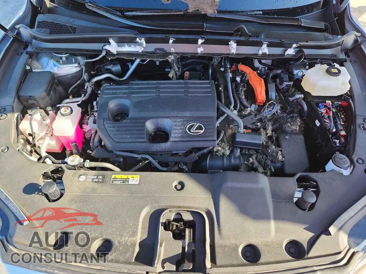 LEXUS UNKNOWN 2024 - 2T2BBMCA4RC050980