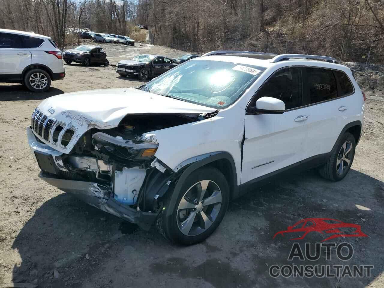 JEEP GRAND CHER 2019 - 1C4PJMDX4KD155916