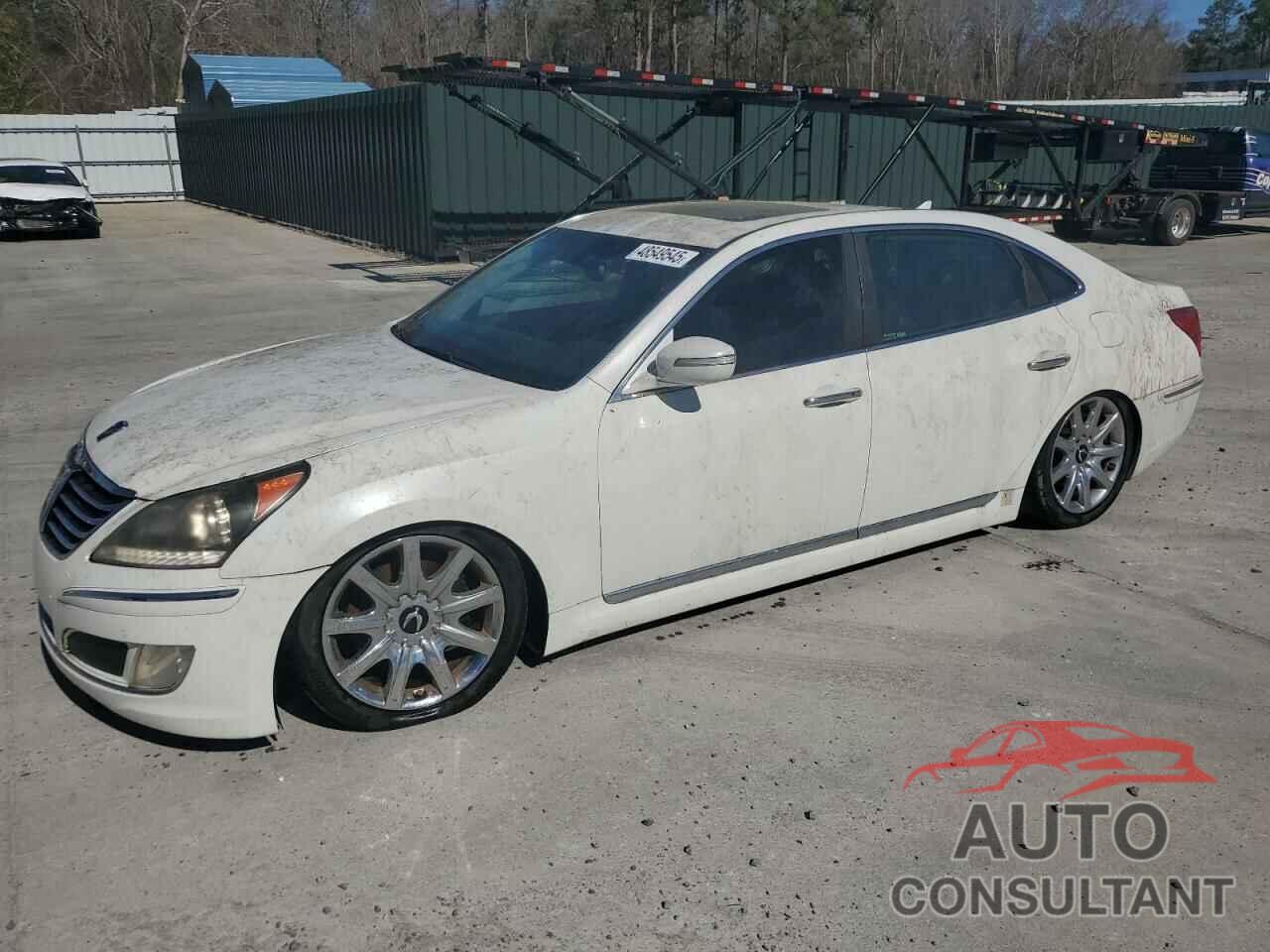 HYUNDAI EQUUS 2011 - KMHGH4JF1BU041181