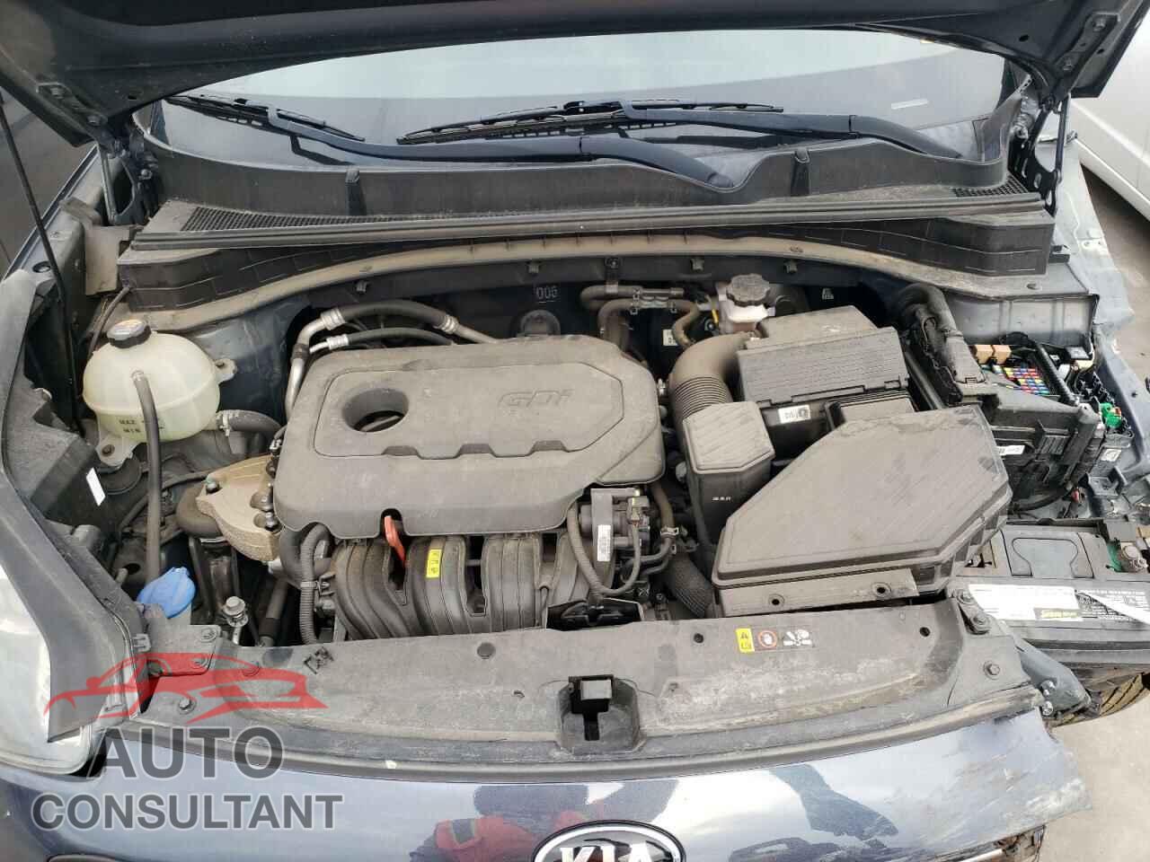 KIA SPORTAGE 2017 - KNDPM3AC7H7085015