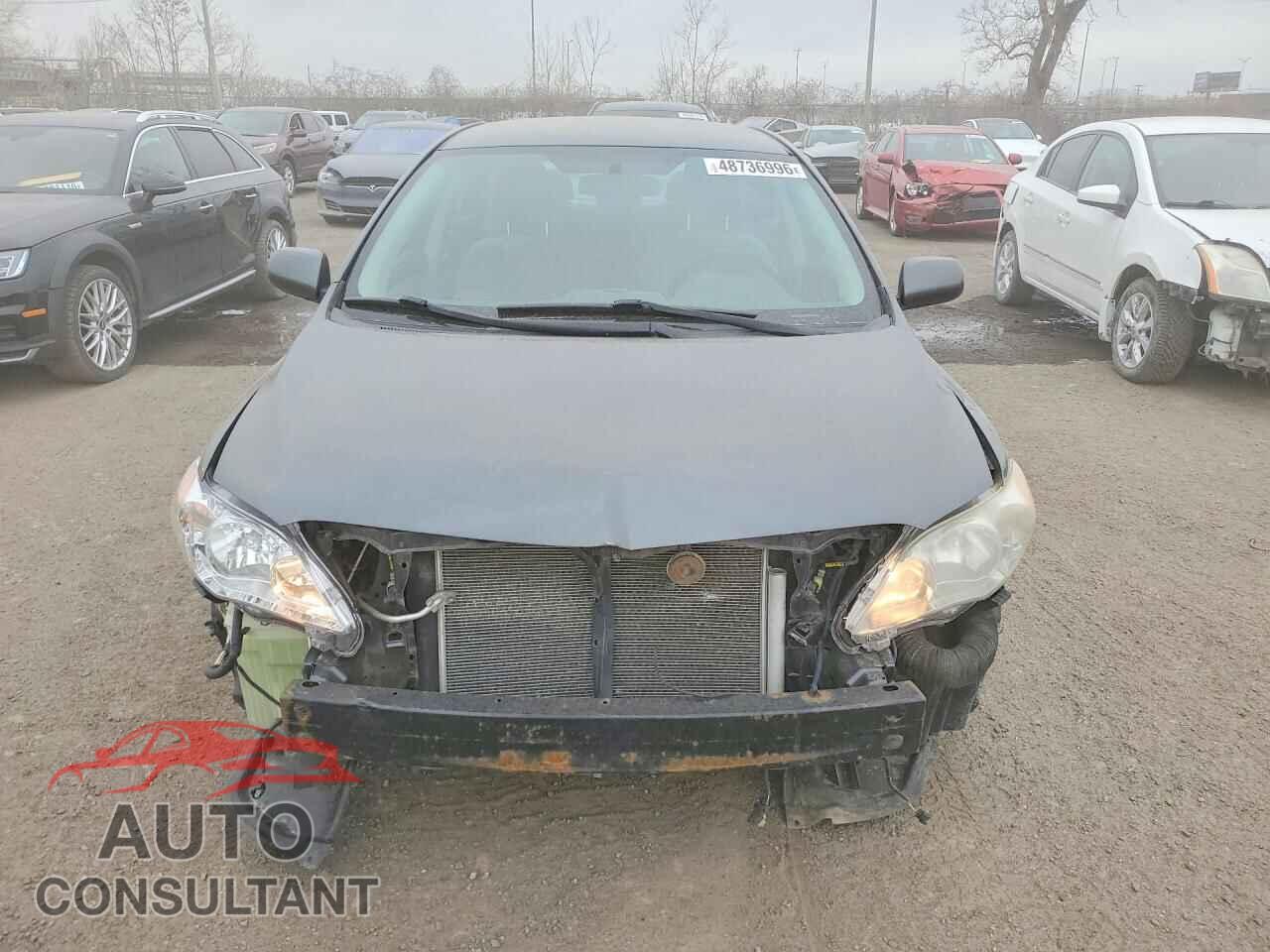 TOYOTA COROLLA 2011 - 2T1BU4EE3BC749084