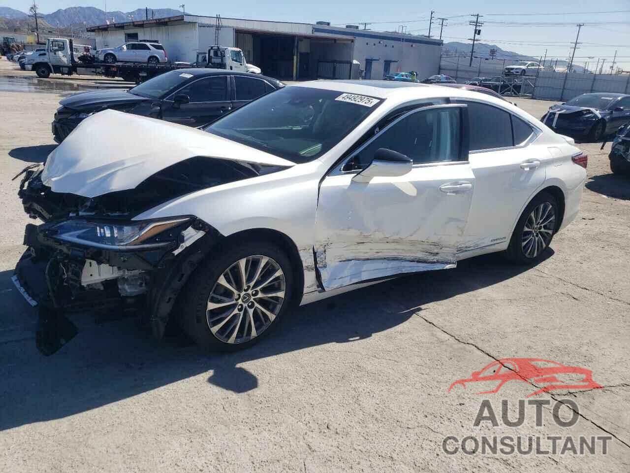 LEXUS ES300 2020 - 58AD21B17LU006550