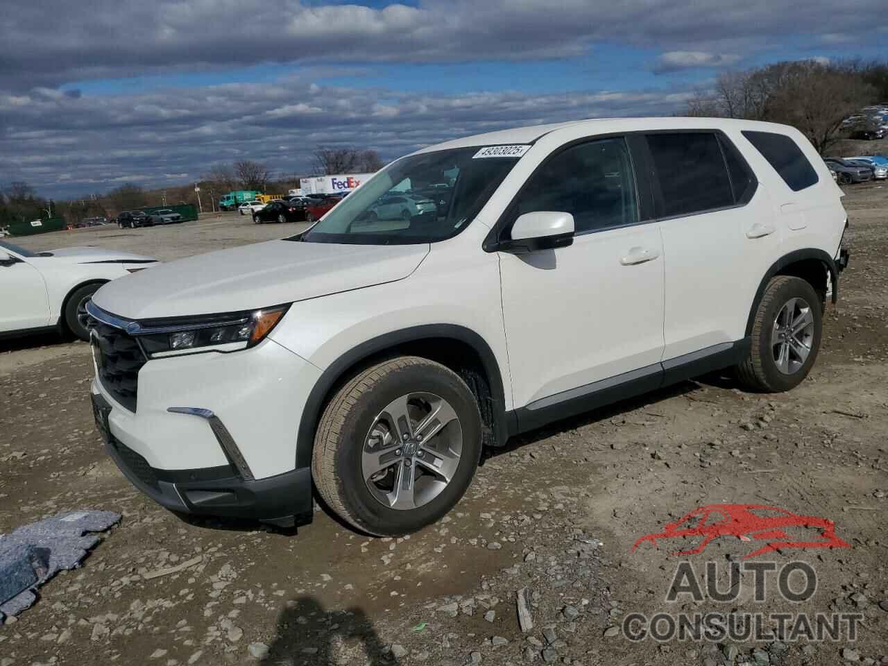 HONDA PILOT 2024 - 5FNYG1H49RB032097