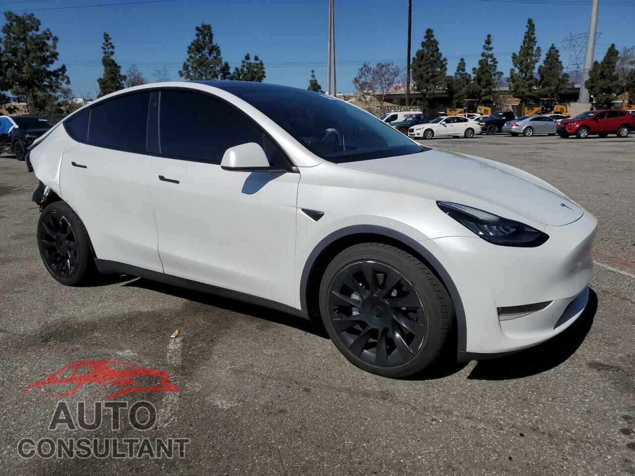 TESLA MODEL Y 2021 - 5YJYGDEEXMF065536