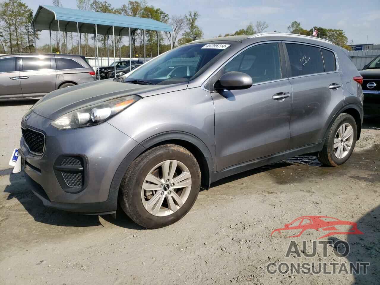KIA SPORTAGE 2017 - KNDPM3AC6H7133720