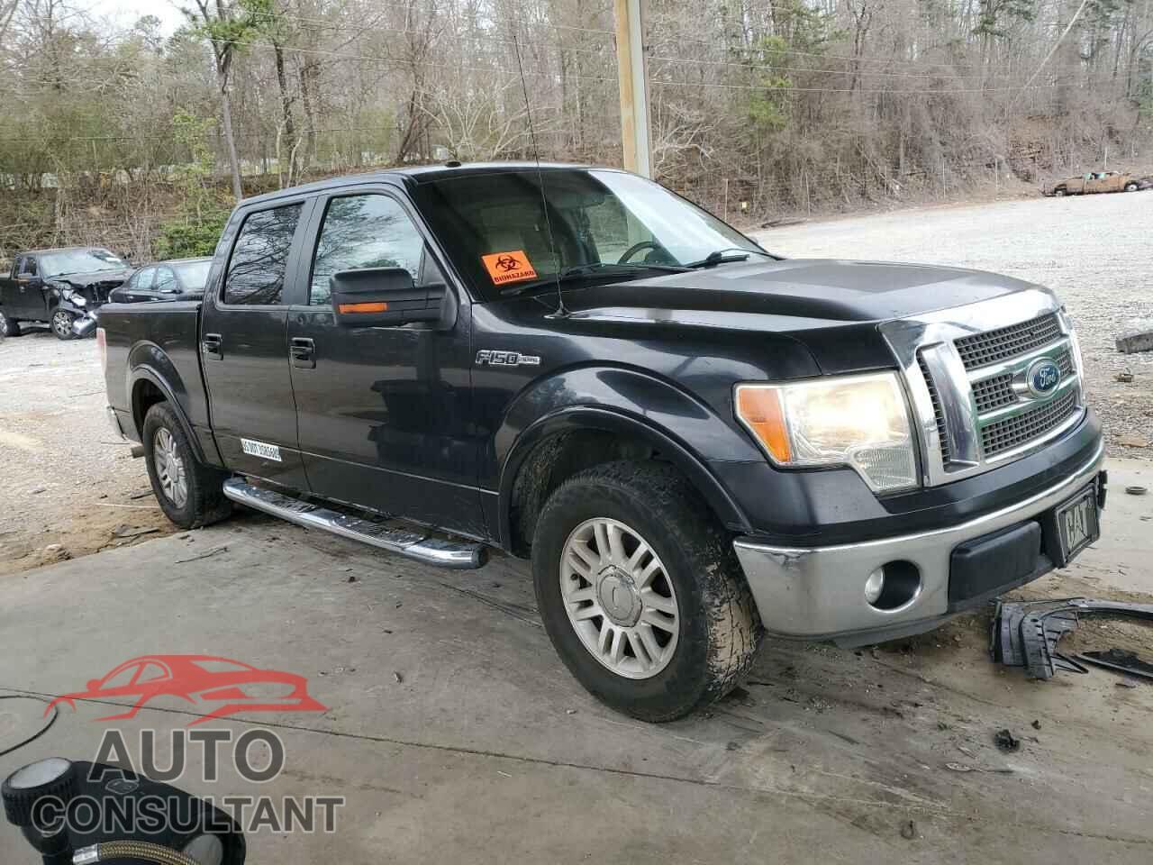 FORD F-150 2011 - 1FTFW1CF8BFA45430
