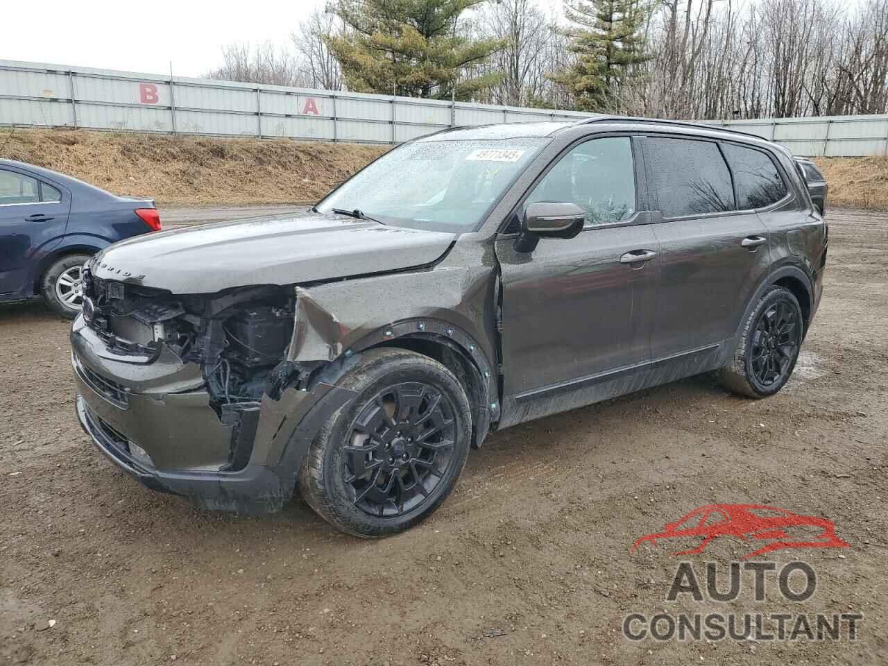 KIA TELLURIDE 2021 - 5XYP5DHC7MG185623