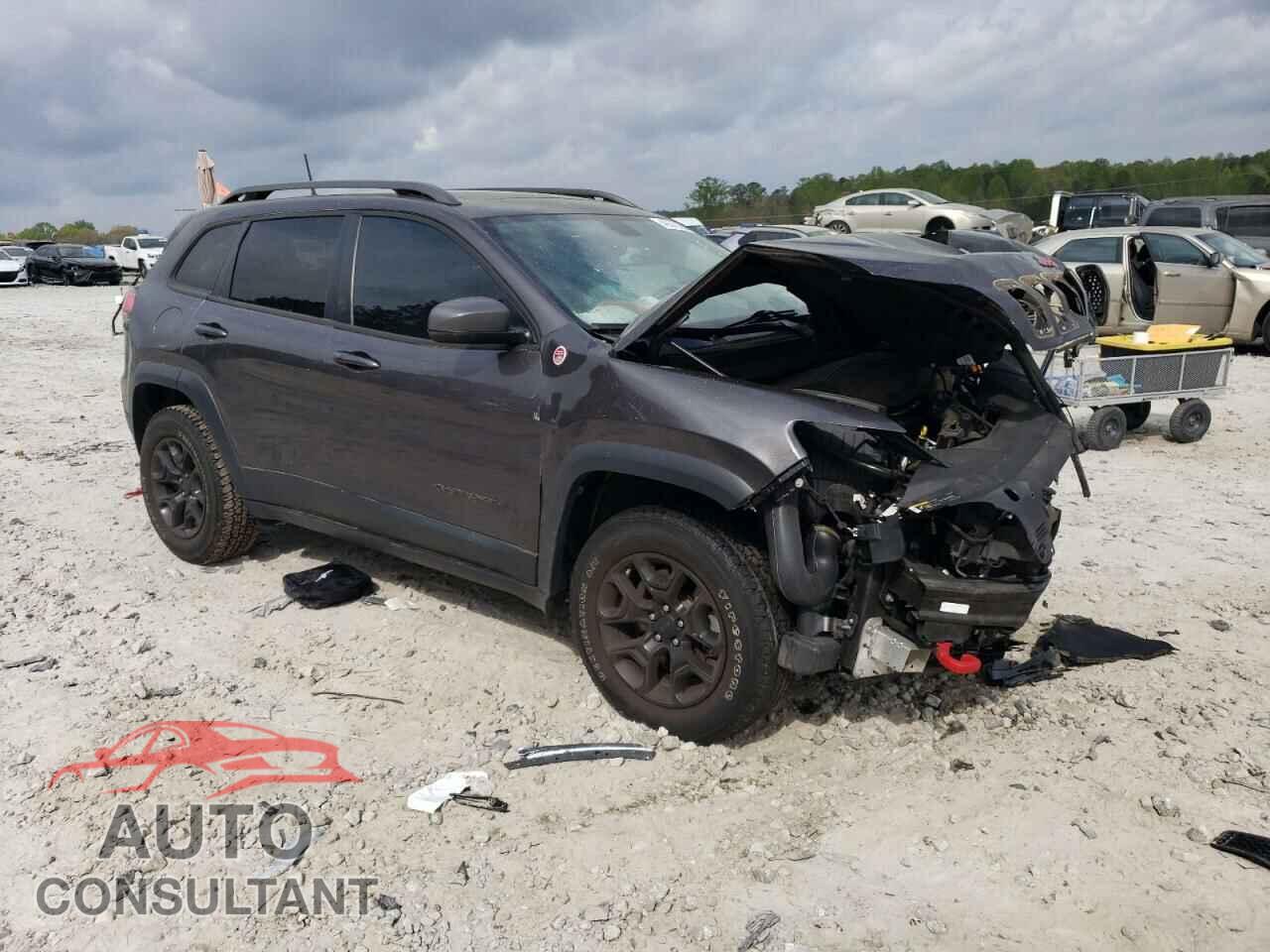 JEEP CHEROKEE 2019 - 1C4PJMBX5KD280572