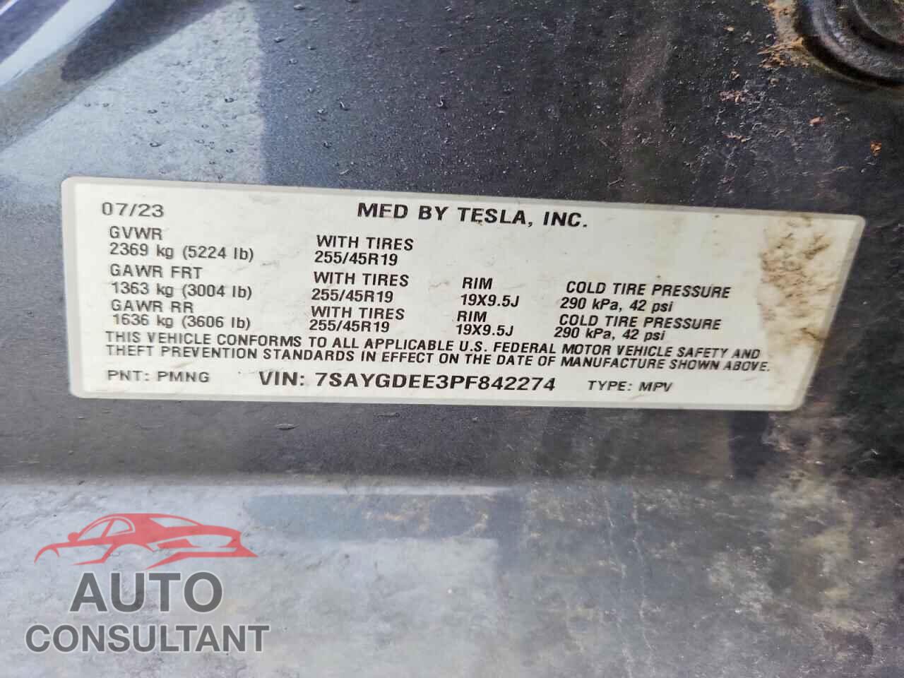 TESLA MODEL Y 2023 - 7SAYGDEE3PF842274