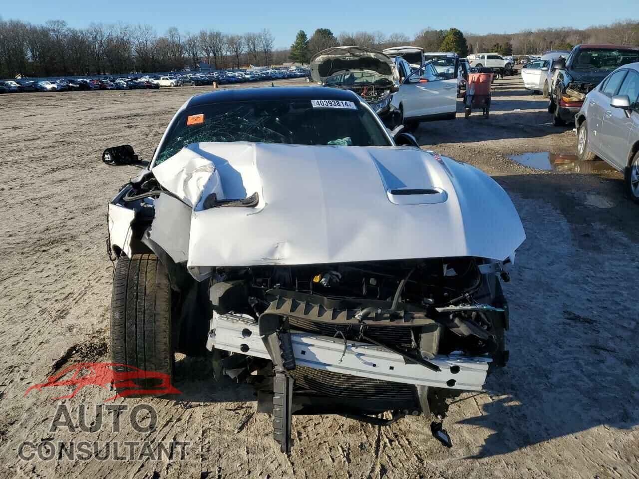 FORD MUSTANG 2021 - 1FA6P8CF1M5101633