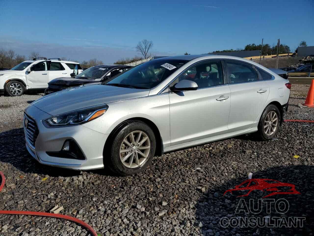 HYUNDAI SONATA 2019 - 5NPE24AF7KH802156