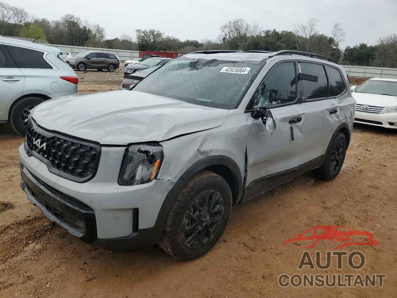 KIA TELLURIDE 2024 - 5XYP5DGC1RG415813