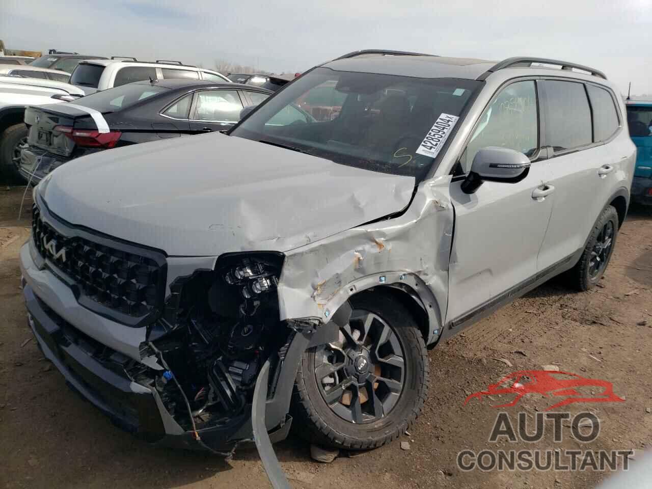 KIA TELLURIDE 2024 - 5XYP5DGC7RG414696