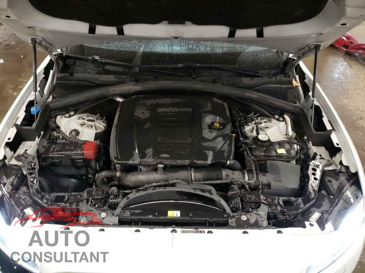 JAGUAR F-PACE 2018 - SADCK2FX0JA329062