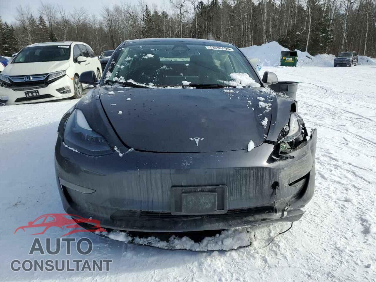TESLA MODEL 3 2023 - LRW3E1FA5PC945276