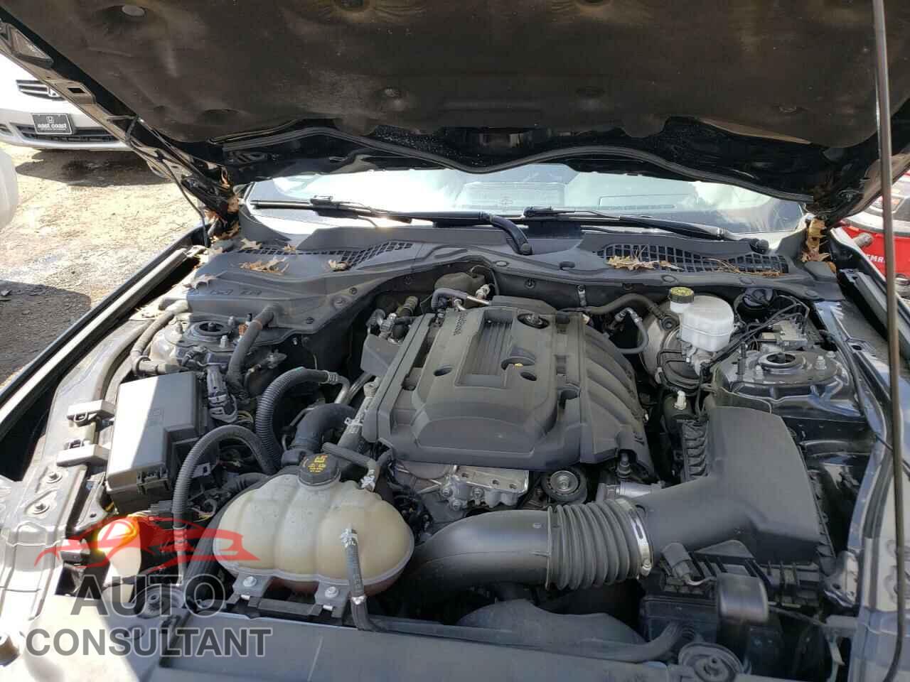 FORD MUSTANG 2019 - 1FA6P8TH4K5105478