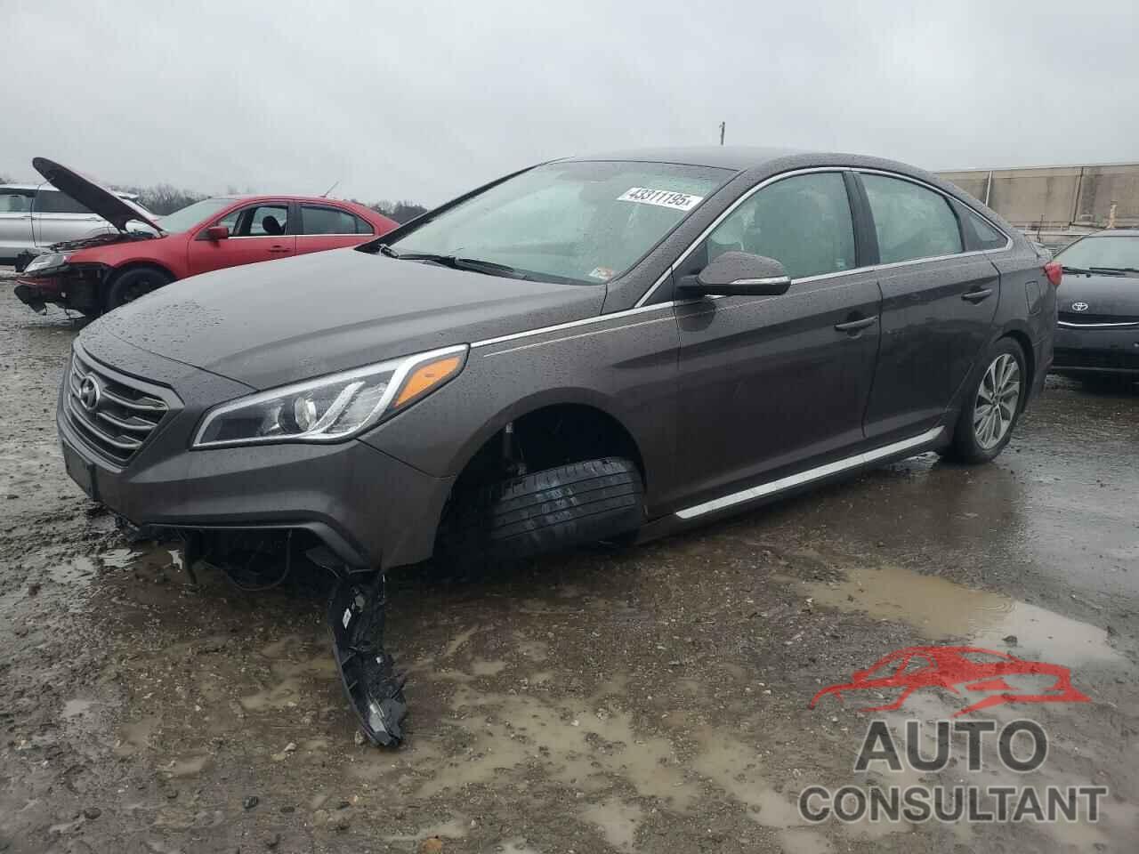 HYUNDAI SONATA 2017 - 5NPE34AF6HH523920