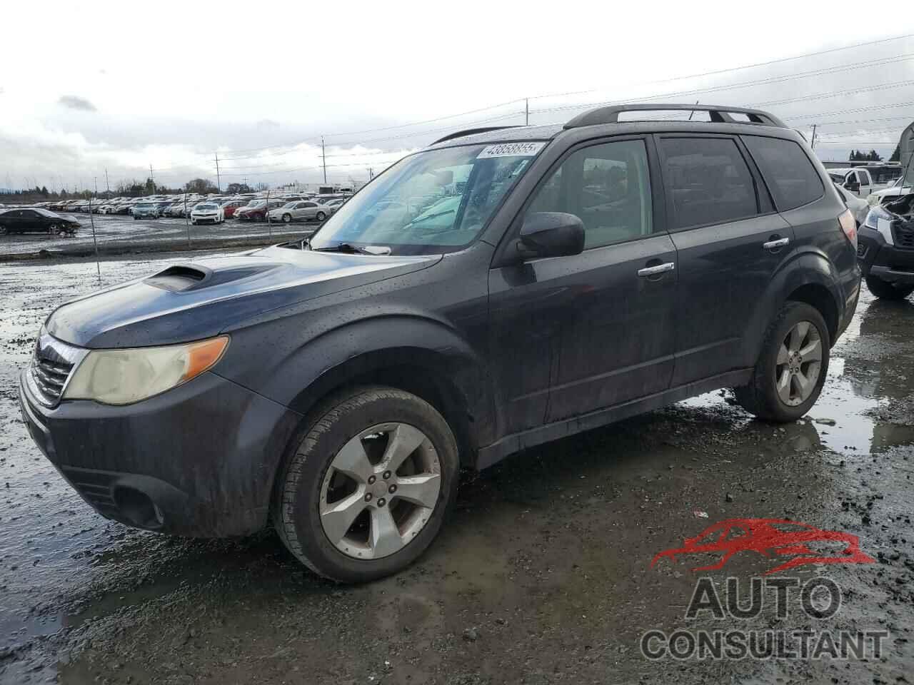 SUBARU FORESTER 2009 - JF2SH66649H774073