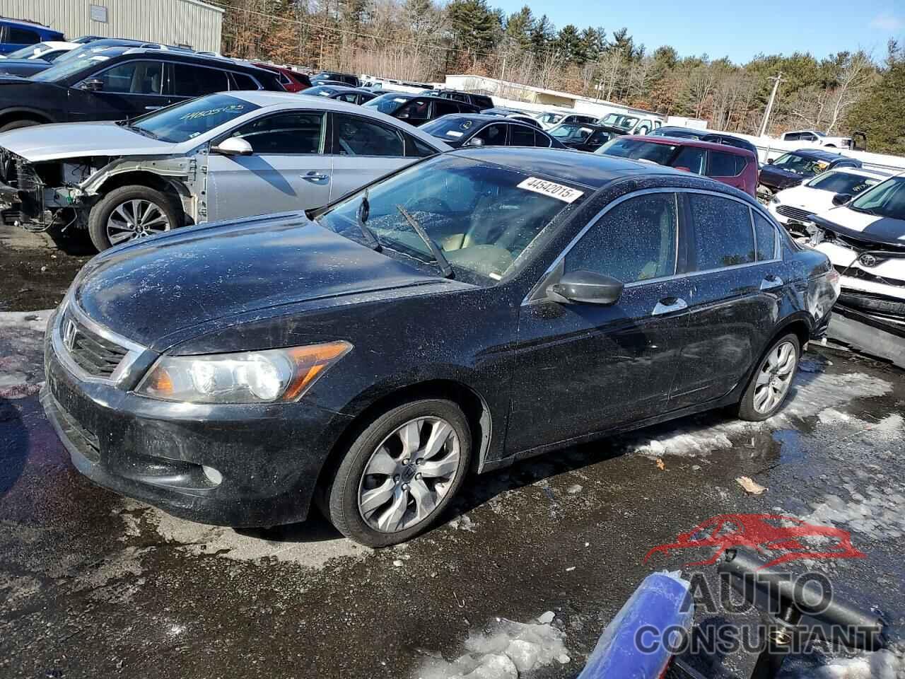 HONDA ACCORD 2009 - 5KBCP36869B501062