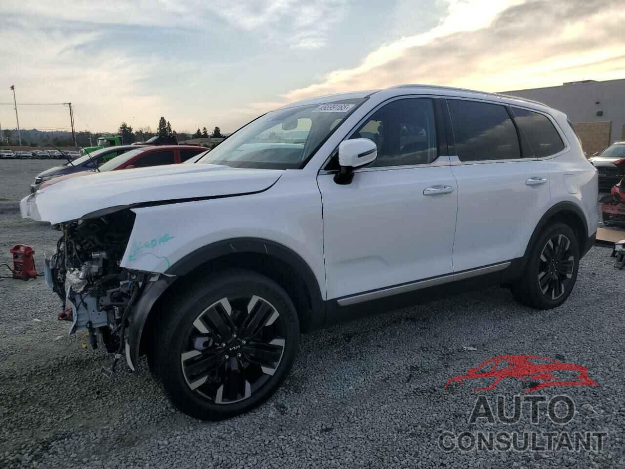 KIA TELLURIDE 2024 - 5XYP5DGC2RG412872